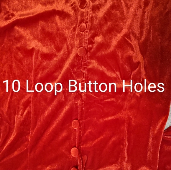 Suzanne Betro Red Crushed Velvet Dress Small Long Sleeved Loop hole buttons NWT - Picture 8 of 10